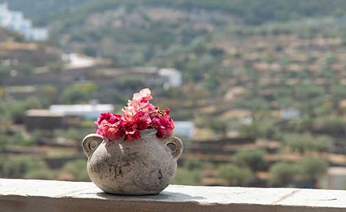 Θέα στο ύπαιθρο από το Art Houses Sifnos