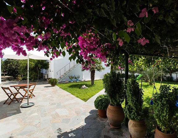 Ό κήπος στο Rodia studios στην Πάρο