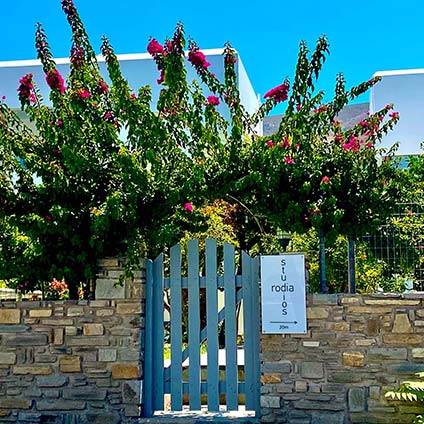 Rodia studios στην Πάρο