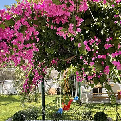 Ο κήπος του Rodia studios στην Πάρο